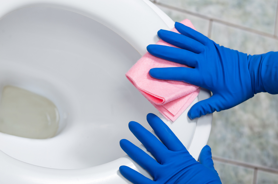Product Care: Cleaning your Toilet Bowl effectively